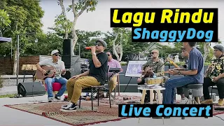 Download Shaggydog - Lagu Rindu | Live Concert Akustik Jogja MP3