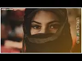 Download Lagu Hijab E Haya Song Lyrics Slowed + Rrverb