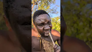 Wow Chaaba With His Favorite Dish Villagelife Africa Food Animals Wildlife 