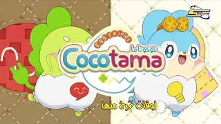 كوكوتاما بعد قليل على مغامرات 2023 