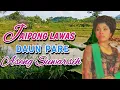 Download Lagu Album Jaipong Lawas Aseng Suwarsih - DAUN PARE | Jaipongan Terbaik Sepanjang Masa