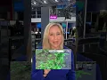 Dreary Monday weather in Massachusetts Rainy start cool temps humid conditions