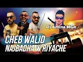 Download Lagu Dj Amine MGn x Cheb Walid - Najbadha w Riyache (Vidéo Music Caricature)