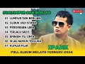 Download Lagu IPANK - LUMPUR DAN BERLIAN - GUBUK JADI ISTANA - LAGU POP TERPOPULER 2024