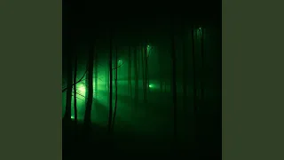 Wandering Through The Void 