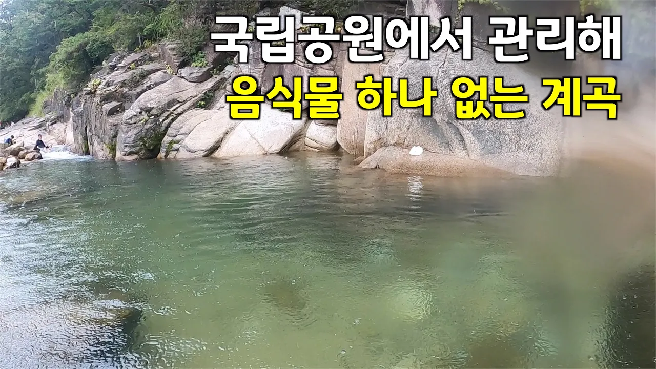 [깨끗함의 끝판왕] 충청도 1등 계곡이라고 소문난 계곡에서 수영 썸네일