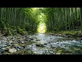 Peaceful Bamboo Tunnel River Sounds 🌿 Relaxing Nature Ambience for Deep Sleep