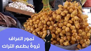 تمور العراق ... ثروةٌ بطعم التراث