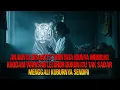 Download Lagu ANAKNYA DISANTET  TERNYATA IBUNYA MEMILIKI KHODAM WARISAN LELUHUR DUKUN PUN TUMBANG