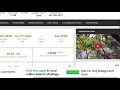 How Accurate Is SocialBlade