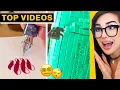 LATE-NIGHT TIKTOKS We Watch Instead of SLEEPING SSSniperWolf
