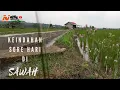 Download Lagu SEJENAK MENIKMATI KEINDAHAN ALAM SAWAH SUARA BANCET SAWAH SAHDU,ANYEM,ASRI,