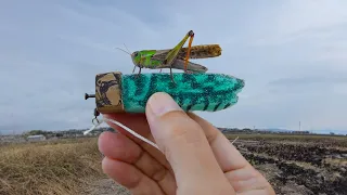 とんでもないものを作ってしまった