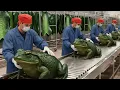 Lagu Inside the Frog Leather Factory: Shocking Production Secrets