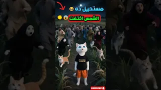 الشمس اختفت من القريه بس القط سنفور عمل حاجة محدش كان يتخيلها 