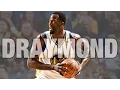 Draymond Green West All-Star Reserve 2017 Top 10