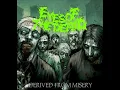 Eyes Of The Defiled - Derived From Misery [FULL EP] + EXTRAS in Description