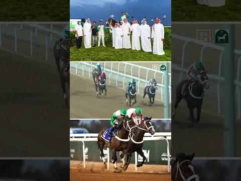 Naawi takes Race 5 (85,000 SAR) King Khalid Racecourse Championship Prep Race Meeting 🐎 #TaifSeason