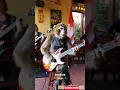 Download Lagu Monyet viral main gitar di cafe #monetization #Cak Is Ae