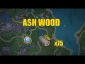 Ash Wood Farming Route - Genshin Impact
