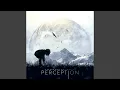 Perception