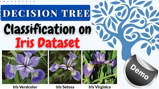 Demo on Decision Tree Classification using Iris Dataset Tutorial Using Decision Tree AI with AI