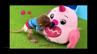 🐒🐱🐶🦆 When Monkey, Cat, Dog & Duck Become Best Friends! 😂❤️ Part 7
