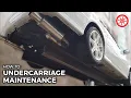 Undercarriage Maintenance Tips PakWheels