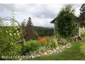 18725 W Willow Fishhook Road Willow AK 99688
