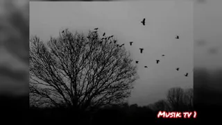 ای ننه من مسافرم 