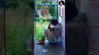 زي الحلم اصاله 