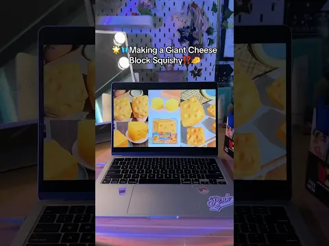 🦋🌟MAKING A GIANT CHEESE SQUISHY⁉️🧀