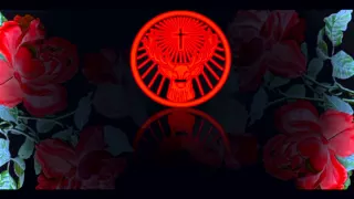 stilo magolide mr party official music video