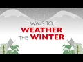 Ways To Weather The Winter Pacific Power