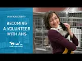 An introduction to volunteering at Animal Humane Society