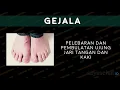 Fibrosis Paru Idiopatik IPF