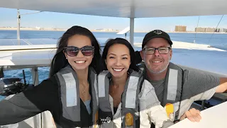 Chasing Down Engine GREMLINS! – Onboard Lifestyle ep.244