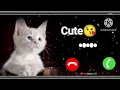 Download Lagu Cute Cat Baby message || ringtone SMS tune notification tone new 2024