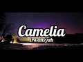 Download Lagu Sudahlah jangan menangis lagi!!!Camelia - Irwansyah cover by Chika Lutfi (Lirik)