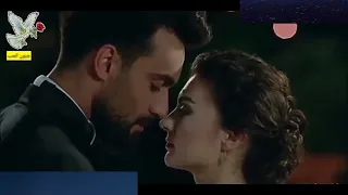 الرك علي النيه تامر عاشور دندنها