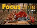 Lagu Deep focus Pomodoro Timer 25/5 | NO AI lofi music | Cozy November Study /Work Special Session