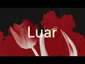 Dere - Luar (Official Lyric Video)
