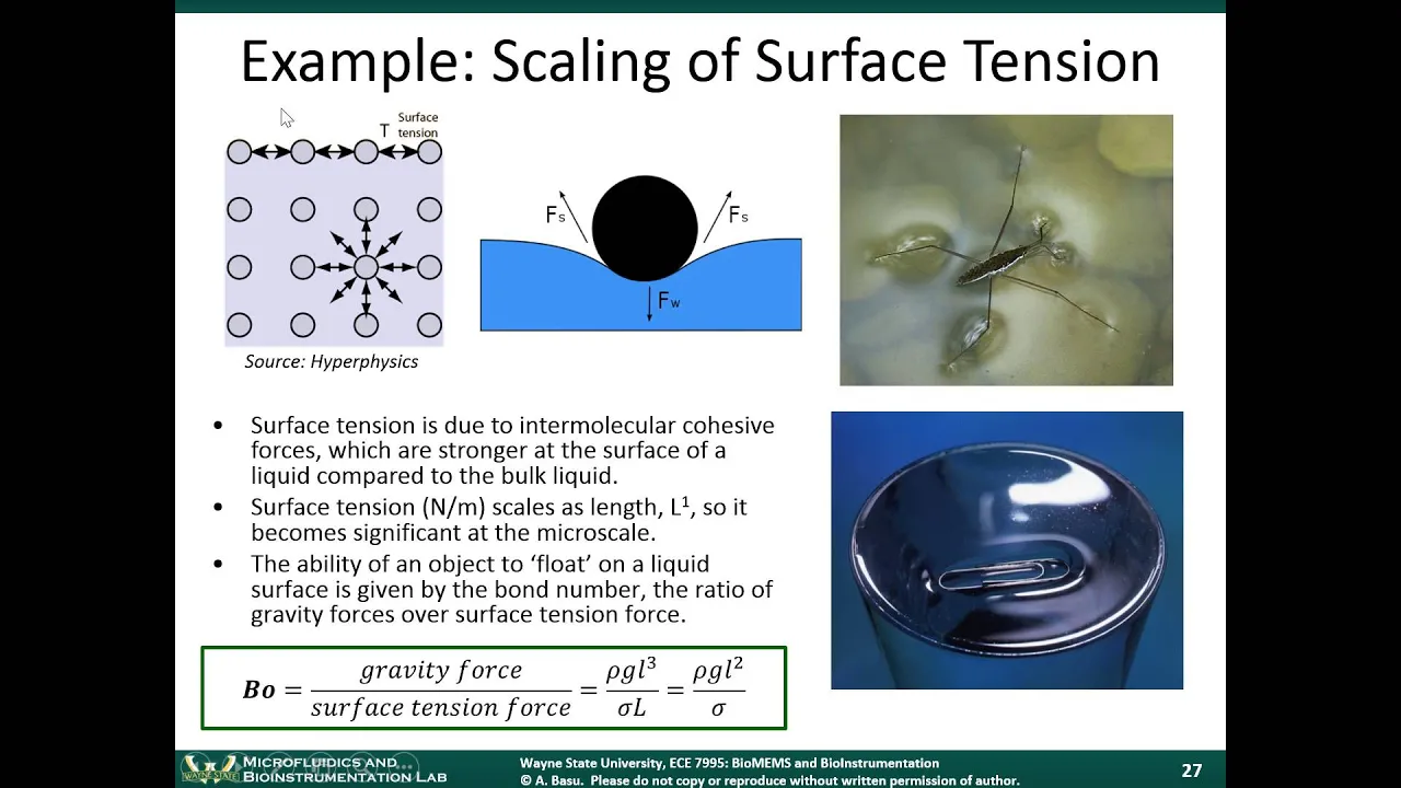 BioMEMS Module 2C - Scaling Laws and Analysis in Micro and Nanosystems