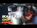 Download Lagu Ikan Laut | Gigi