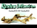 Review Driftwood For Aquascape - Kayu Tua - Kayu Rentek untuk Aquascape