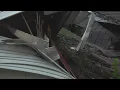 Tree collapses on Peoria home