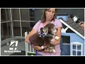 Passion 4 Pets Spotlight on S A F E Pet Rescue in St Augustine