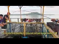 Download Lagu Rakit AHAI !! Rakit Kuning