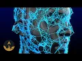 tyFlow Plexus Tutorial for Beginners by