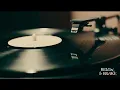 1970s Vinyl Reverie: ✧ Echoes on a Spinning Record ✧ [4K Loop]